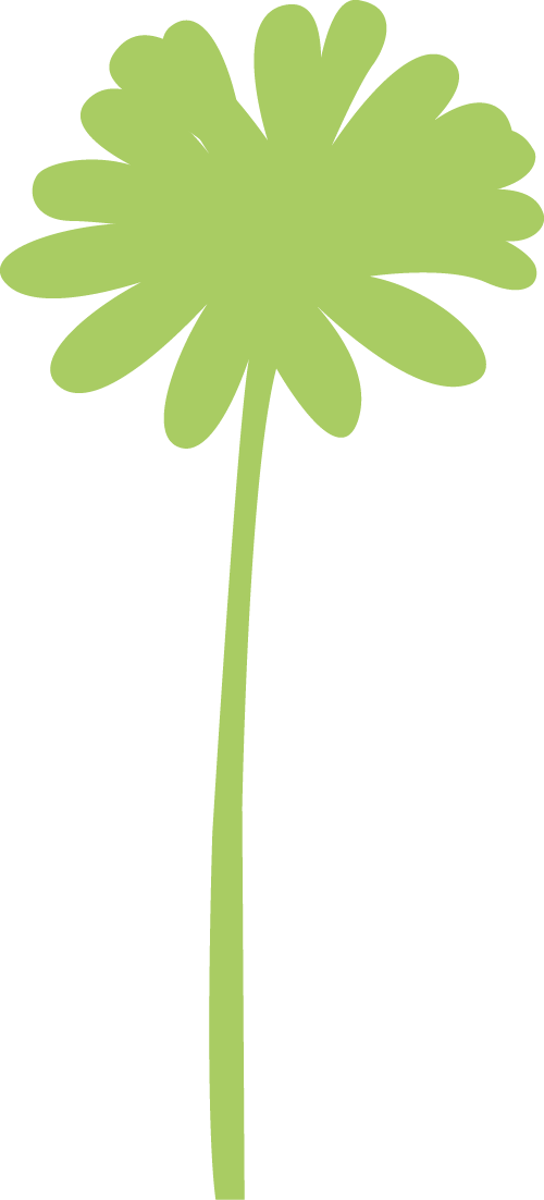 anthemis-gin-aridium-flower