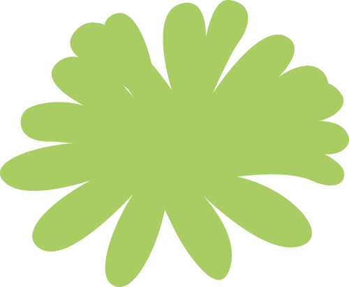 anthemis-gin-aridium