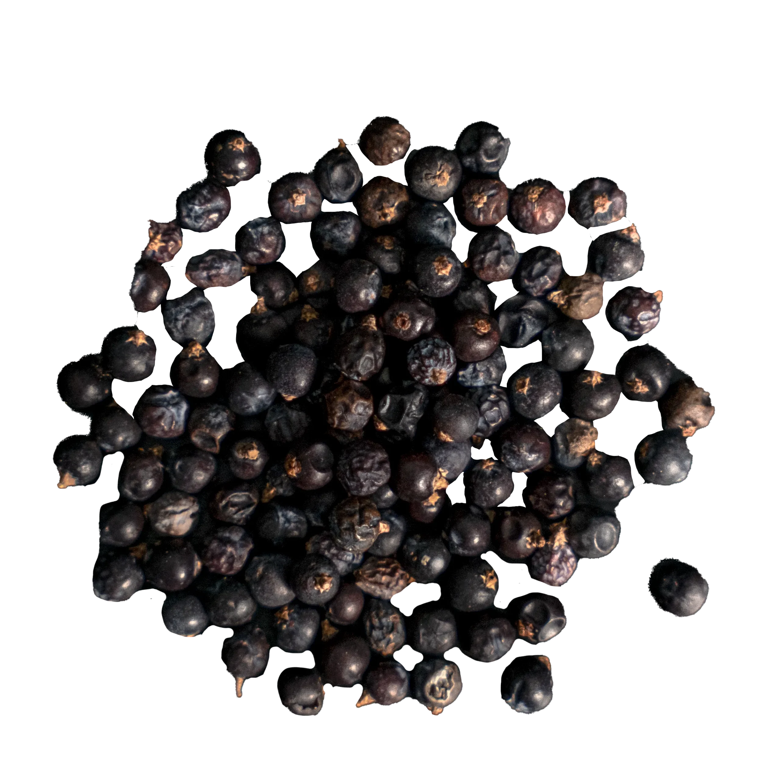 botanica-gin-ginepro