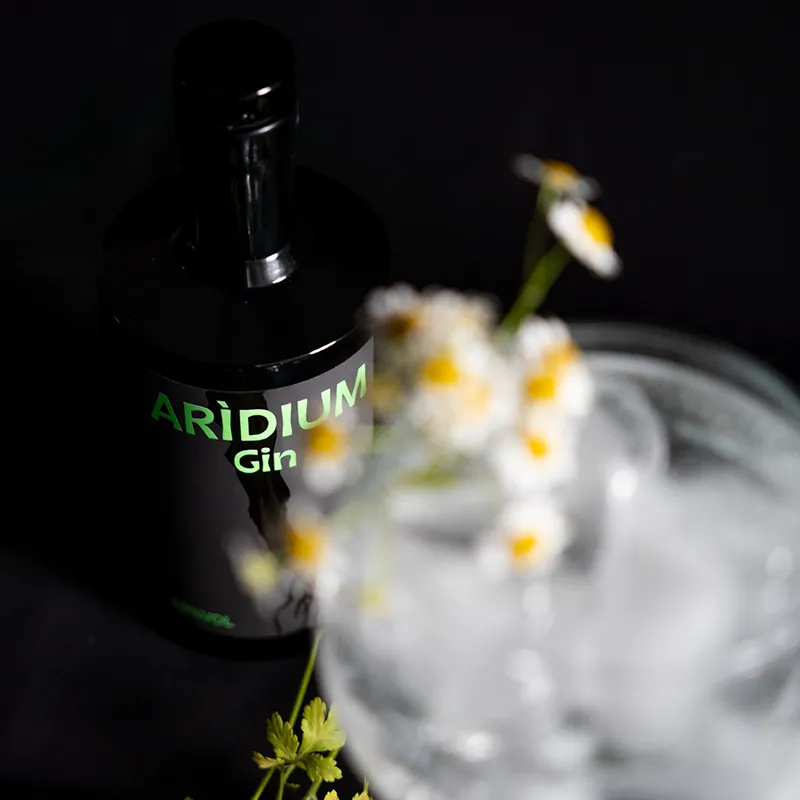 gin-aridium-chi-siamo-1